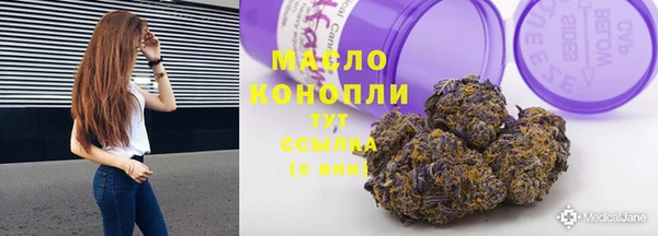 шишки Арсеньев