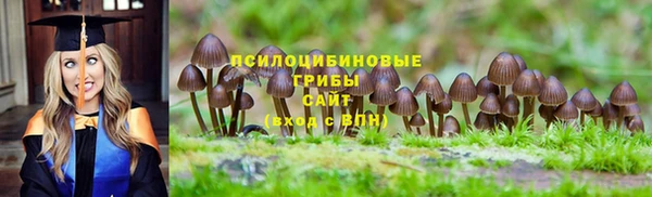 трава Армянск