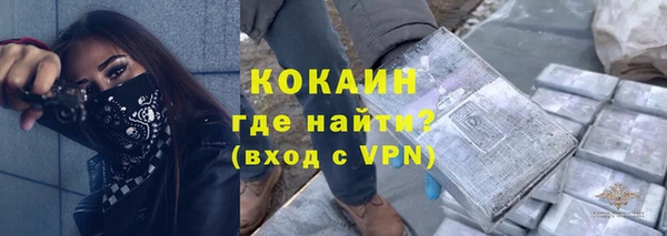 шишки Арсеньев