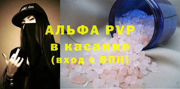 шишки Арсеньев