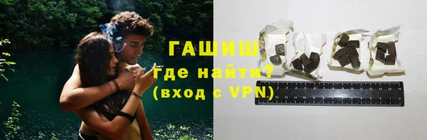 шишки Арсеньев