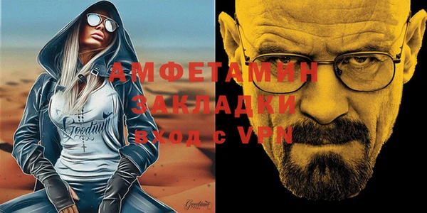 шишки Арсеньев