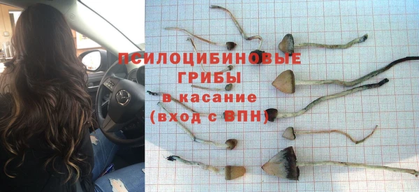 трава Армянск