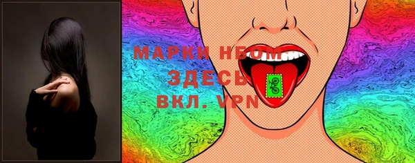 шишки Арсеньев