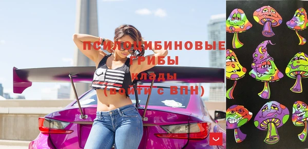 шишки Арсеньев