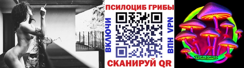 Галлюциногенные грибы Cubensis  Купить где  Нижние Серги 